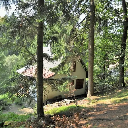 Holiday In Snezne/adlergebirge 978 Snezne (Hradec Kralove)